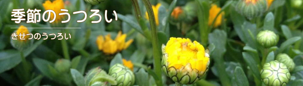 「暦の台所-季節のうつろい-」のイメージ画像